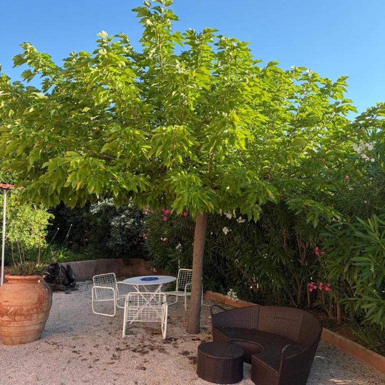 Villa Comtesse du Sud, traumhafte Unterkunft mit Privatpool by Riviera Homelife Management - Maison de Vacances - 22