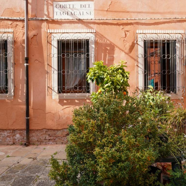 Residenza Dondel - Appartamento - 35