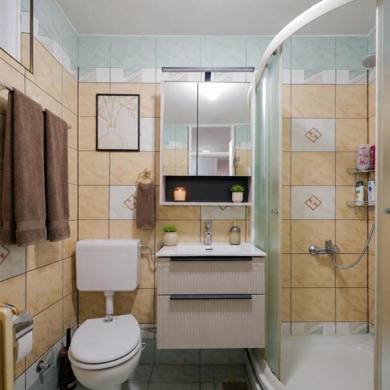 Sarajevo center 3 bedrooms free parking - Apartman sa 3 Spavaće Sobe - 7