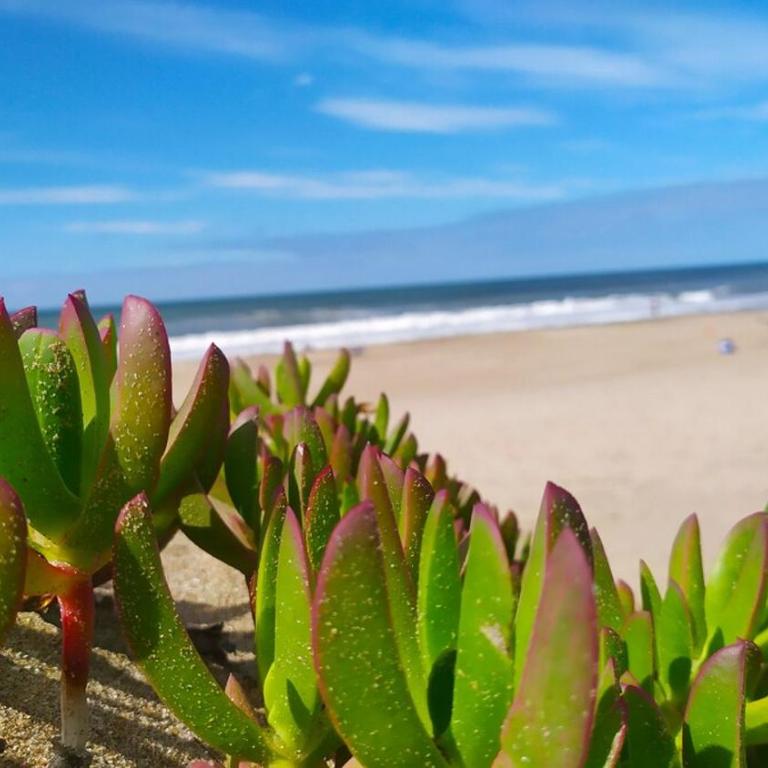 Vacaciones junto al mar - Apartamento de 1 dormitorio - 12
