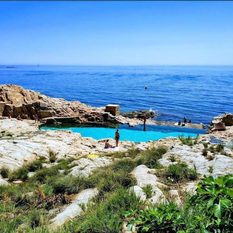 Belvèdère Marin : Piscine, Vue Mer & Parking - Estudio - 88