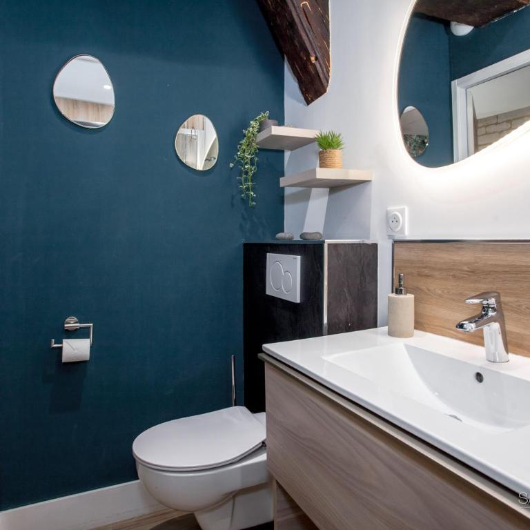La Galerie - Studio atypique Bouchon de Troyes - Appartamento con 1 Camera da Letto - 9