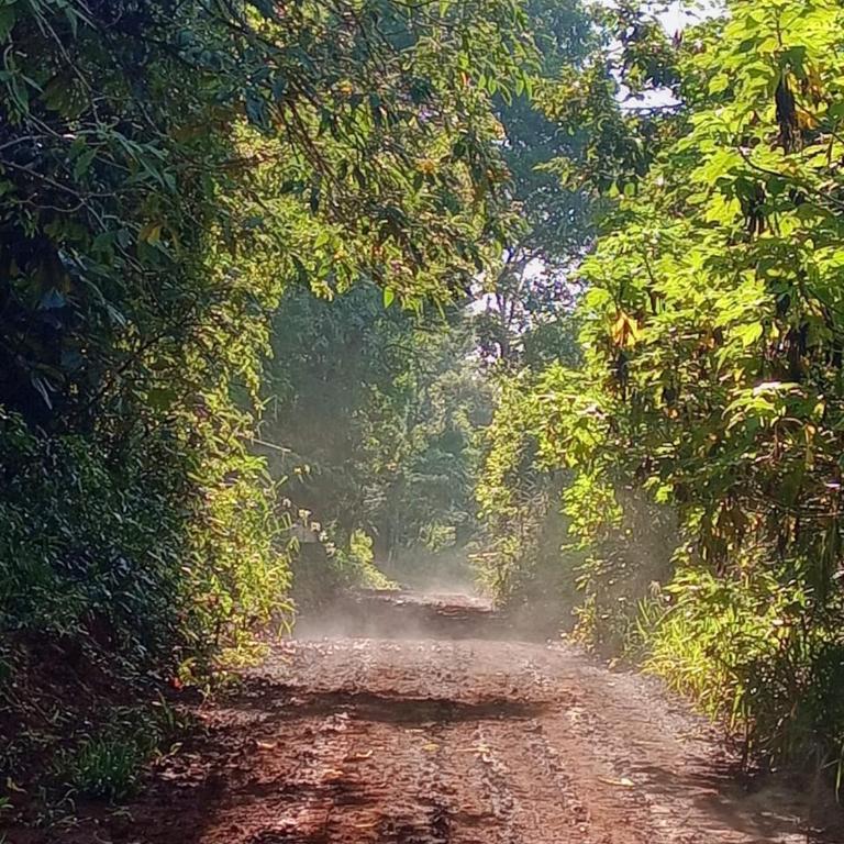 Curiango Birding Camp - Tienda - 4