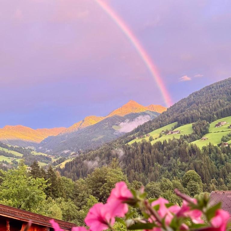 Haus Raimund " KLEIN aber FEIN " - Apartment mit Blick auf die Berge - 5