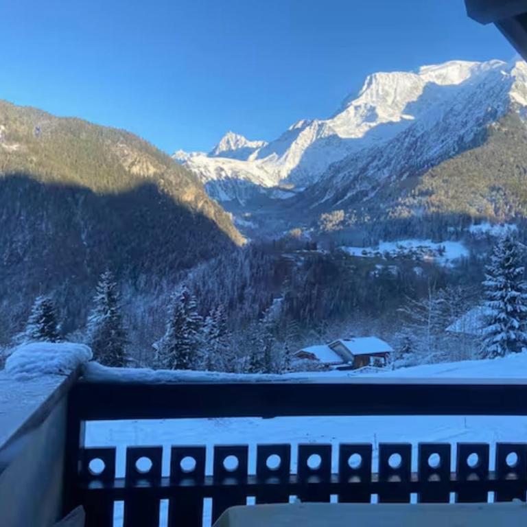 Nidamis au pied des pistes Vue massif Mont-Blanc - Studio - 2