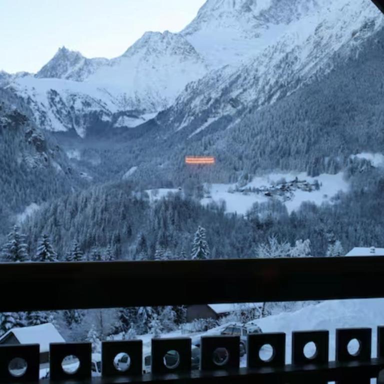 Nidamis au pied des pistes Vue massif Mont-Blanc - Studio - 9