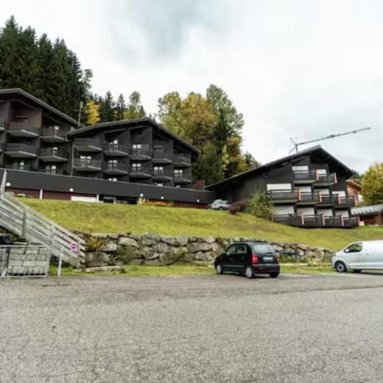 Nidamis au pied des pistes Vue massif Mont-Blanc - Studio - 13