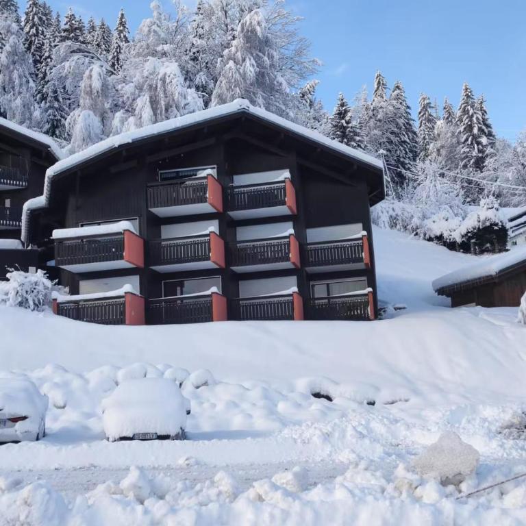 Nidamis au pied des pistes Vue massif Mont-Blanc - Studio - 11