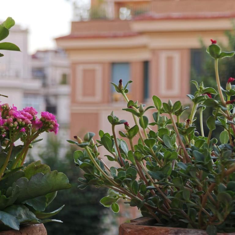 Elegant suite near the Vatican - Appartamento con 1 Camera da Letto - 21