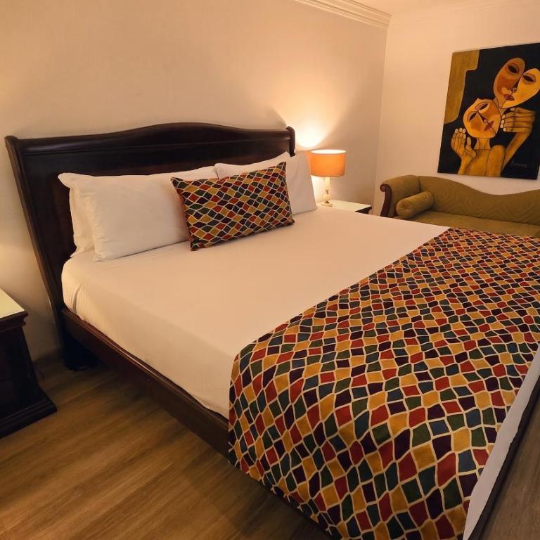 Hotel Embassy Park - Habitación Estándar - 1 cama grande - 1