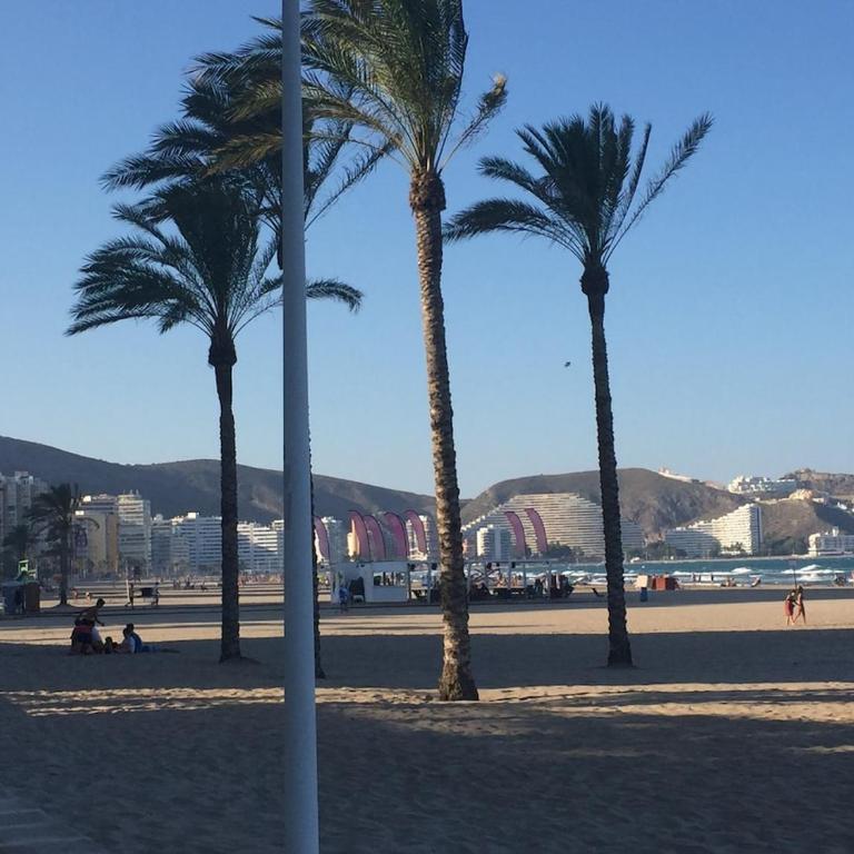 Peaceful Beach Retreat - Apartamento de 2 dormitorios - 21