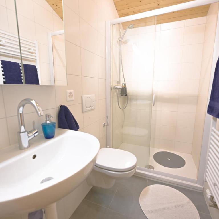 Duplex panoramique au cœur de Château d Œx - Apartment - auf 2 Etagen - 6
