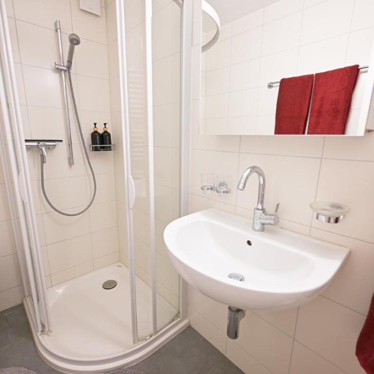 Duplex panoramique au cœur de Château d Œx - Apartment - auf 2 Etagen - 9