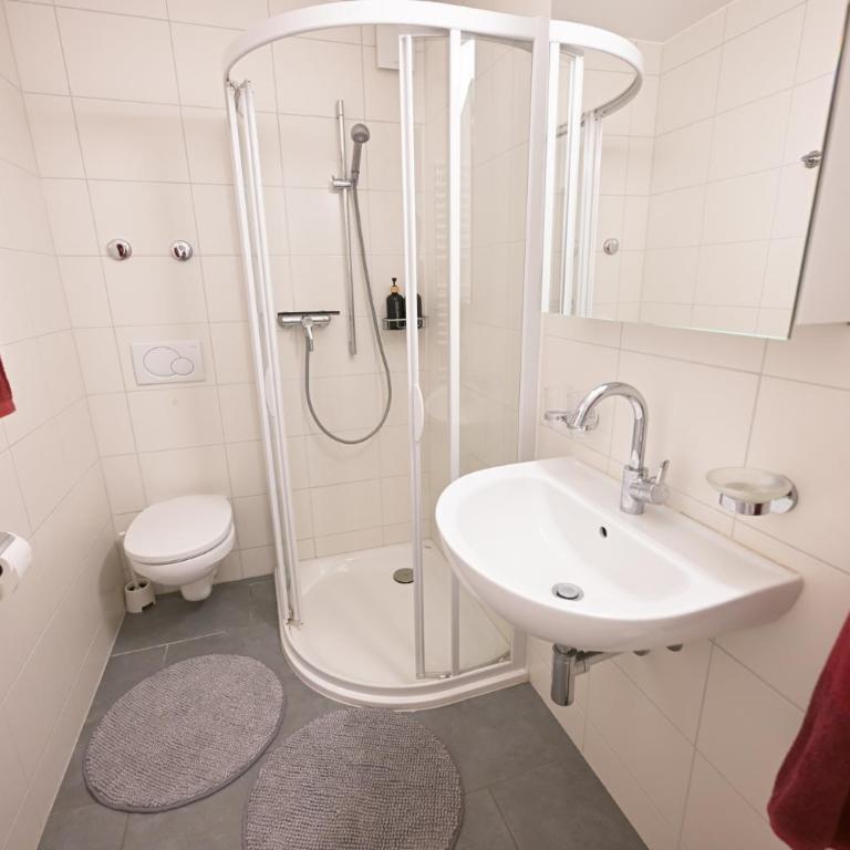 Duplex panoramique au cœur de Château d Œx - Apartment - auf 2 Etagen - 12