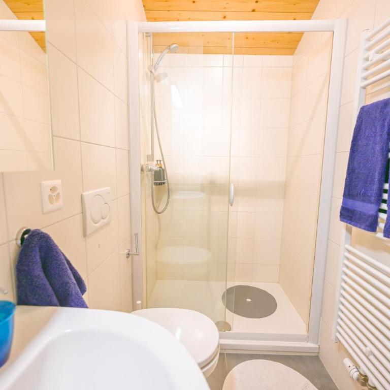 Duplex panoramique au cœur de Château d Œx - Apartment - auf 2 Etagen - 66