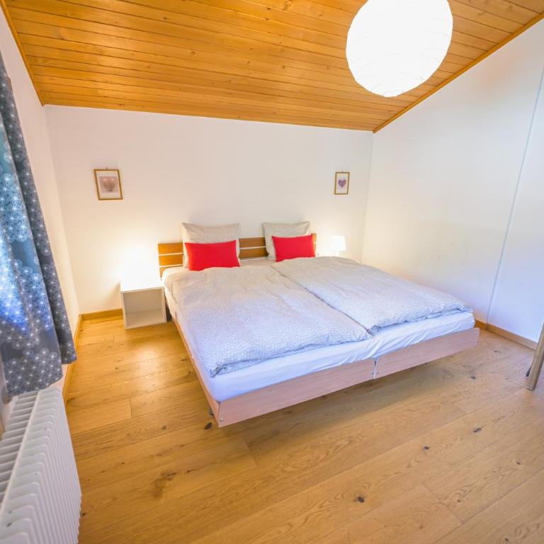 Duplex panoramique au cœur de Château d Œx - Apartment - auf 2 Etagen - 42