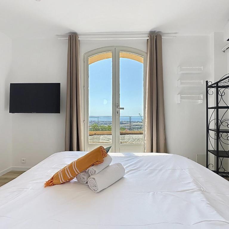 Amazing sea view Villa near Cannes, Pool, 5 bedrooms, 4 bathrooms - Villa - 28
