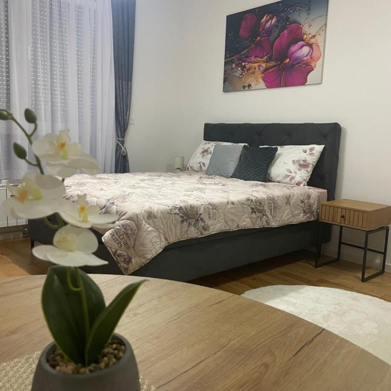 Orhideja 075 - Apartment mit 1 Schlafzimmer - 1