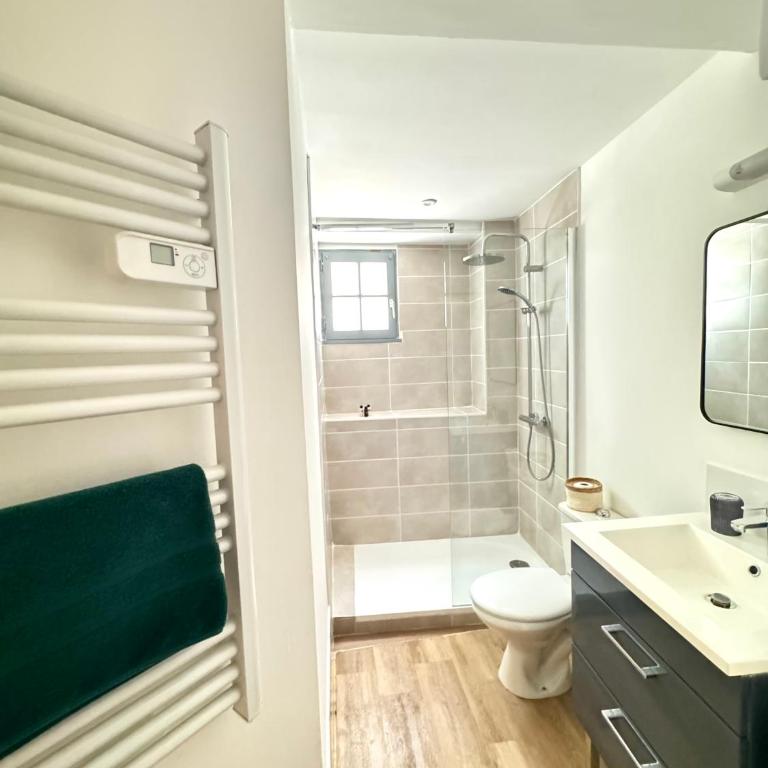 Charmant appartement cité Médiévale - Pont Vieux - Apartment mit 1 Schlafzimmer - 10