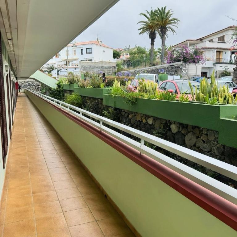 Edificio Las Marañuelas, Puerto La Cruz, Islas Canarias Tenerife - Apartamento Estudio - 25