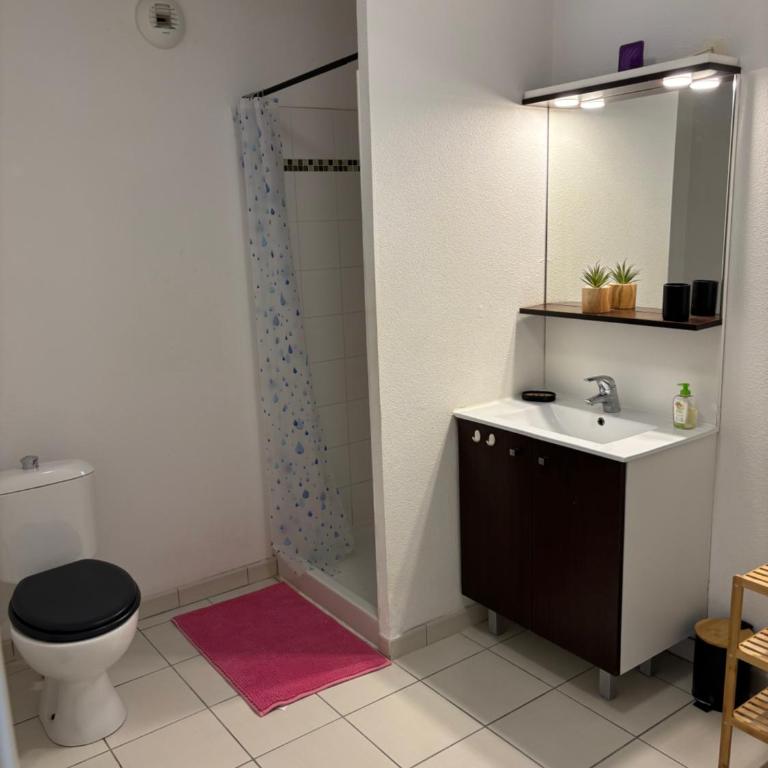 Cosy T2 lege cap ferret - Appartement - Rez-de-Chaussée - 4
