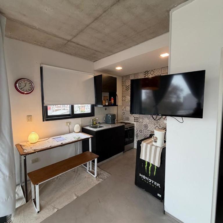 ESTRENO DEPTO LUMINOSO unico en la zona - Apartamento de 1 dormitorio - 31