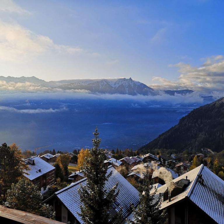 Duplex dernier étage - Apartment mit 2 Schlafzimmern und Bergblick - 1