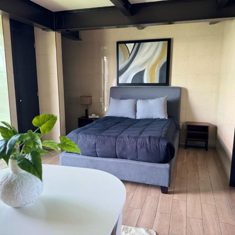 Beautiful and comfortable Rooftop suite - Loft - 2