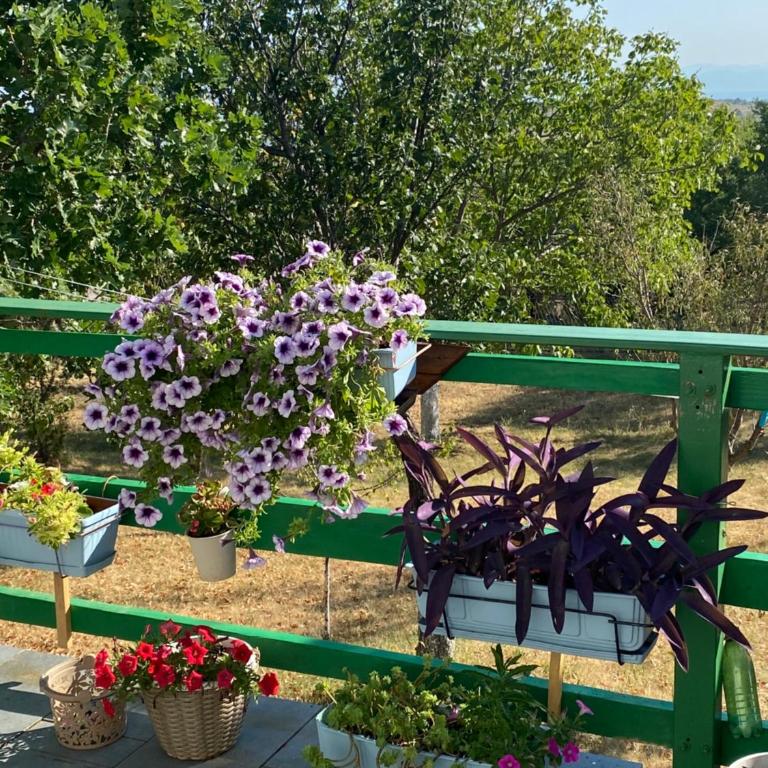 Vila Agroturizam Kućica Mostar - Brvnara sa 1 Spavaćom Sobom - 13