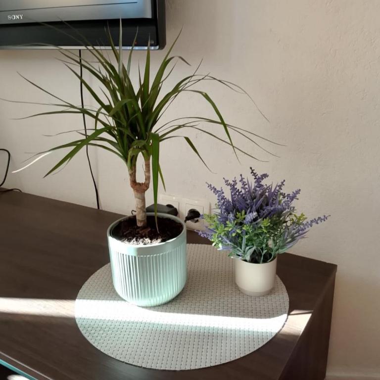 Casa SOLE - Kuća sa 2 Spavaće Sobe - 12