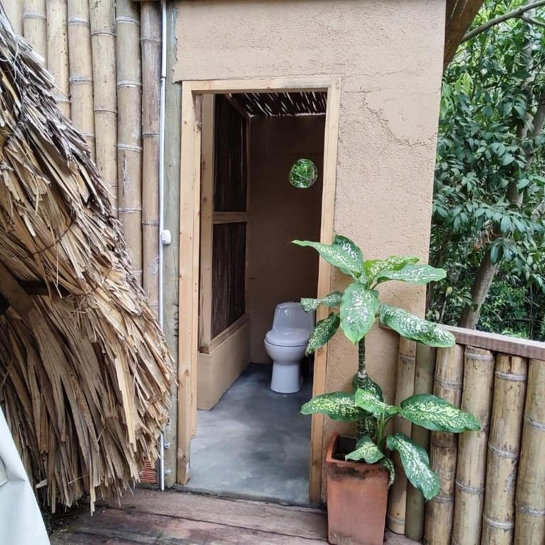 El Bosque Minca - Deluxe Double Room with Balcony - 2