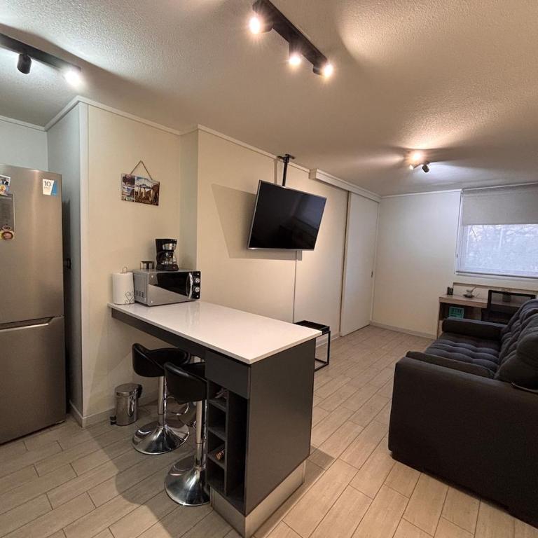 Apartamento en Santiago - One-Bedroom Apartment - 2