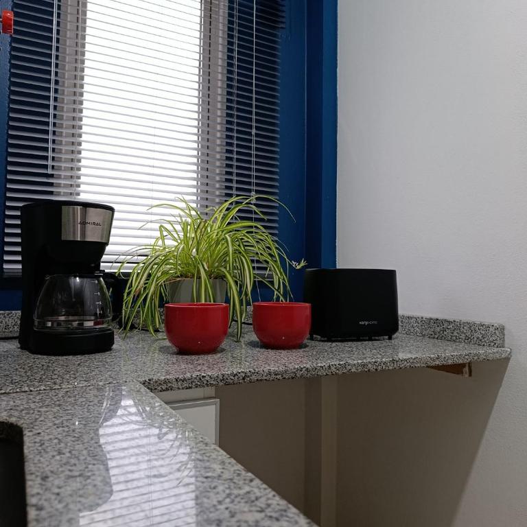Balcones de Alberdi - One-Bedroom Apartment - 15