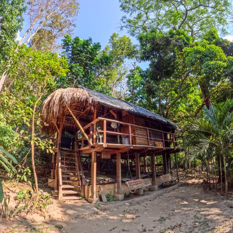 El Bosque Minca - Single Bed in Dormitory Room - 3