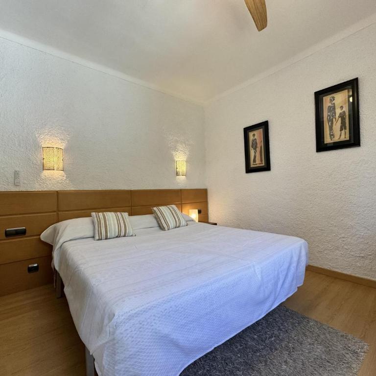 Papagayo - Apartamento - 13