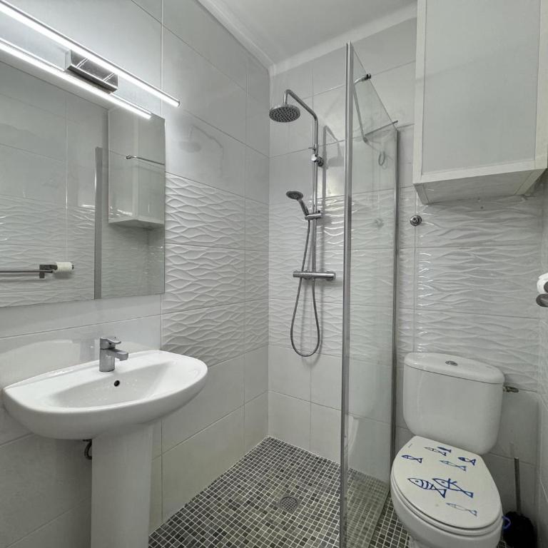 Papagayo - Apartamento - 16