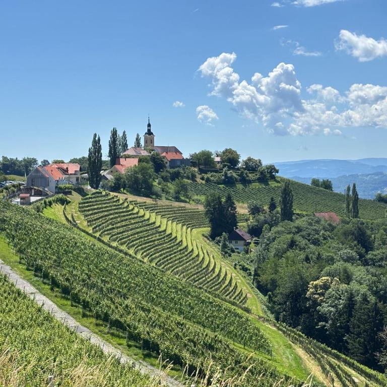 Lauras Ferienwohnung - Ihre Wohlfühloase in der Südweststeiermark mit Garten, Pool, Biotop & Weinbar - Apartment mit 2 Schlafzimmmern und eigenem Pool - 69