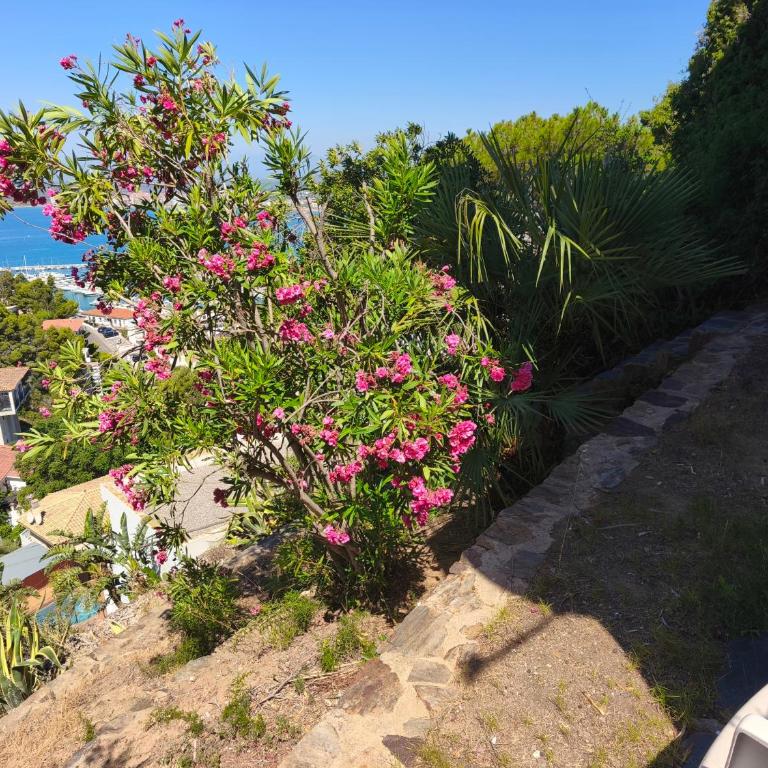 Puig Rom Pau Vila - One-Bedroom Apartment with Sea View and Balcony - 39