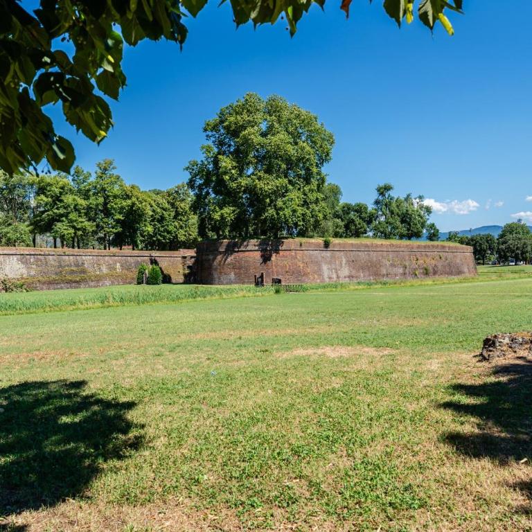 Casa Elisa - Lucca - One-Bedroom House - 4