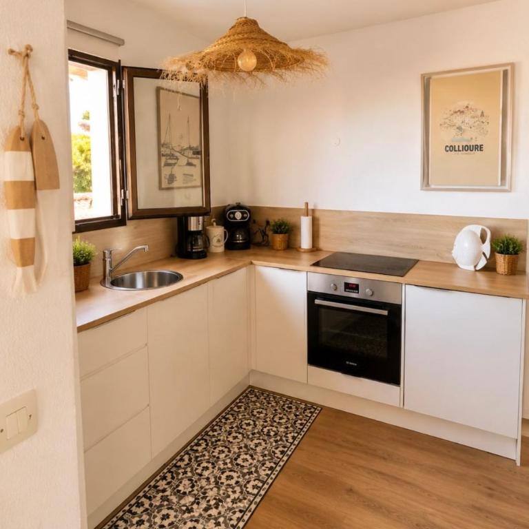 L Instant Colliourenque Appartement climatisé avec terrasse et parking - Apartamento de 1 dormitorio - 4
