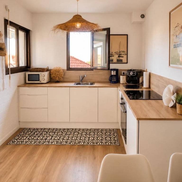 L Instant Colliourenque Appartement climatisé avec terrasse et parking - Apartamento de 1 dormitorio - 5