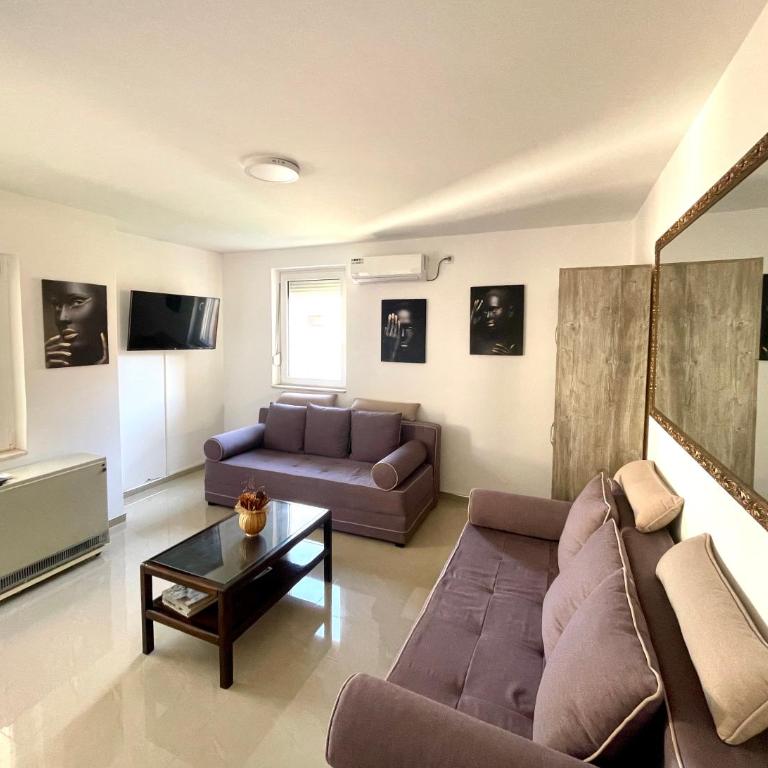 Smestaj Astra - Studio Apartment - 1