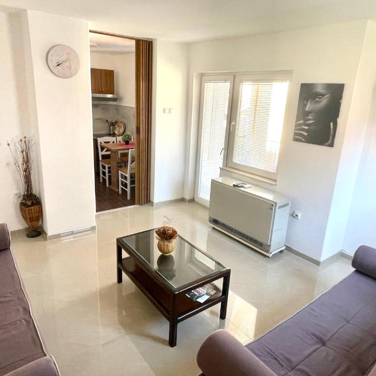Smestaj Astra - Studio Apartment - 2