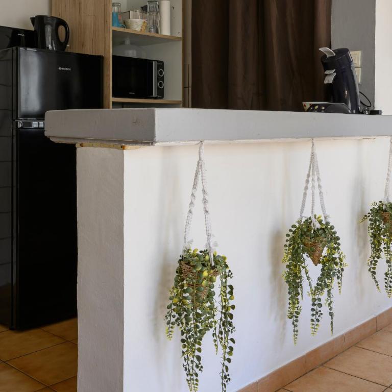 Ventoux & Soleil – Maison cosy - Maison 2 Chambres - 4