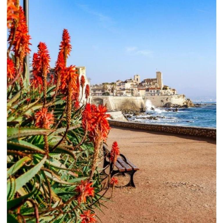 ANTIBES T2 2 pers 14 night SEA 2POOL TERRAC PARK - Appartamento con 1 Camera da Letto - 2