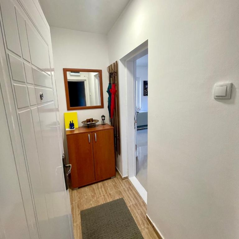 Smestaj Astra - Studio Apartment - 8