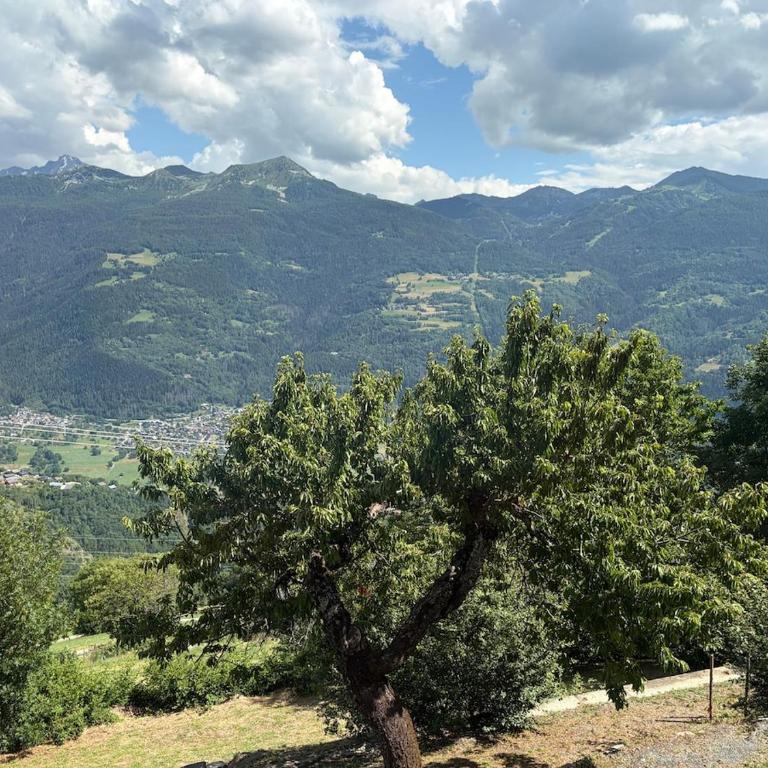 La petite marmotte - Appartamento con 1 Camera da Letto - 9