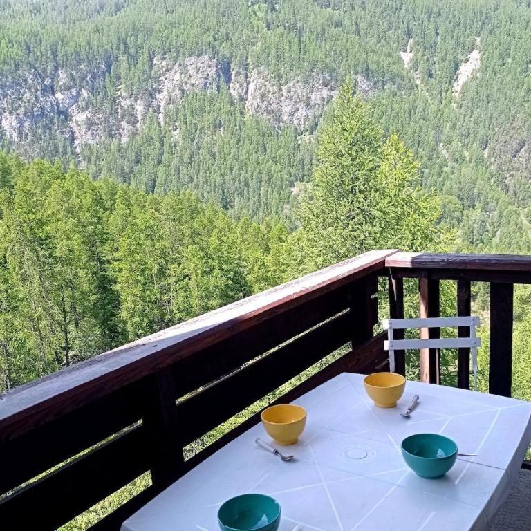 Studio au pied des pistes - balcon - 6 pers - Two-Bedroom Apartment - 5