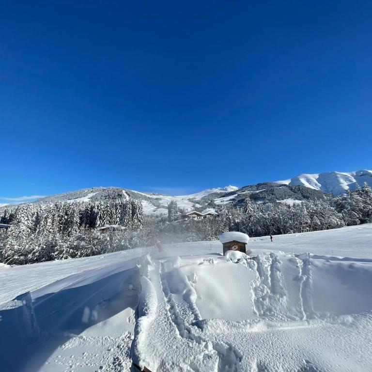 Appartamento sulle piste Apartment on the slopes - Appartamento con 2 Camere da Letto - 1