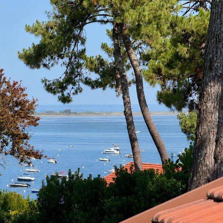 Magnifique villa d'architecte avec vue sur le Bassin d'Arcachon au village du Canon - Cap Ferret - Villa - 2